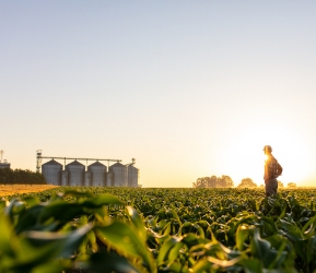 Agricultural chemical storage